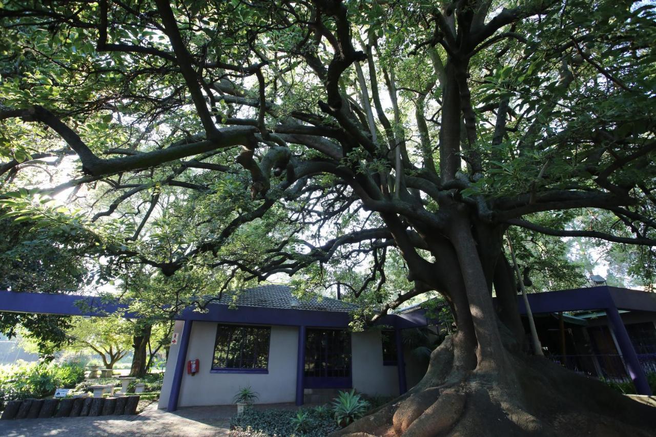 Big Tree Midrand Hotel Exterior photo