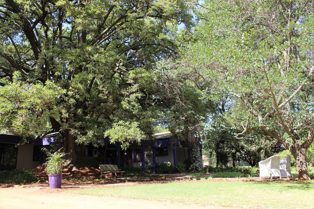Big Tree Midrand Hotel Exterior photo